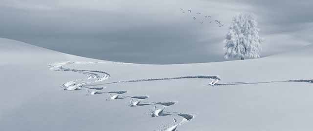 Découvrez toutes les activités disponibles été comme hiver autour de nos gîtes de l'Aigue Blanche à Saint-Vérans dans le Queyras